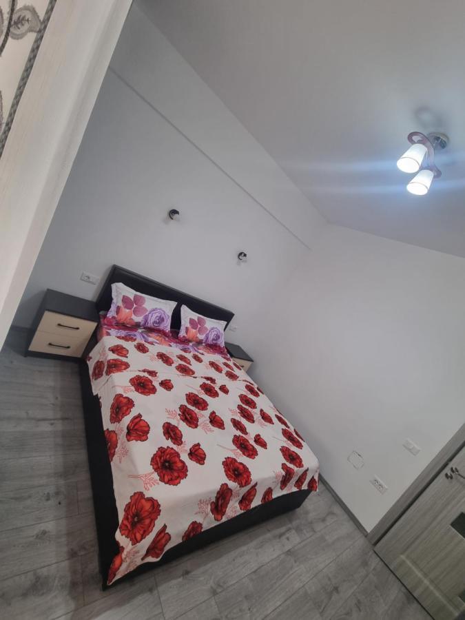 Apartament Mihaela Râmnicu Vâlcea Eksteriør bilde